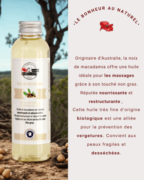 HV Macadamia