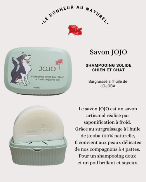 Savon JOJO2