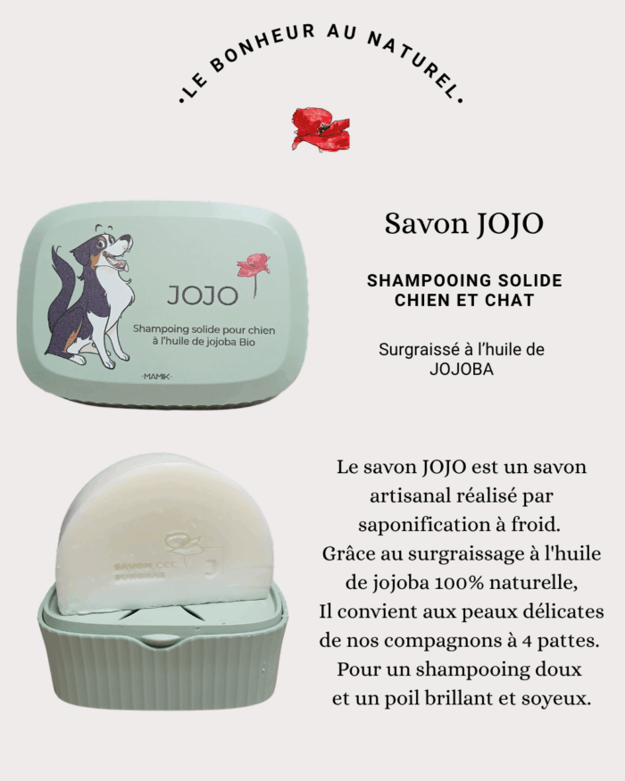 Savon JOJO2