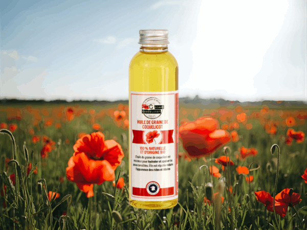 huile de coquelicot dans un champ de coquelicot